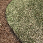 Our Work