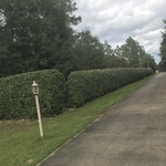 Our Work