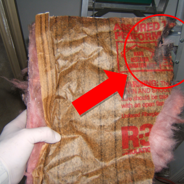 Mold Inspection