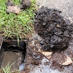 Nasty Drain