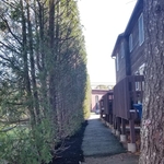 Pruning and Mulching