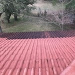 Tile Roof Cleaning