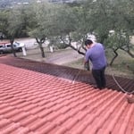 Tile Roof Cleaning