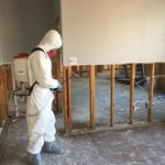 Water damage recovery