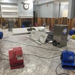 Water damage recovery