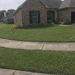 Yard Work