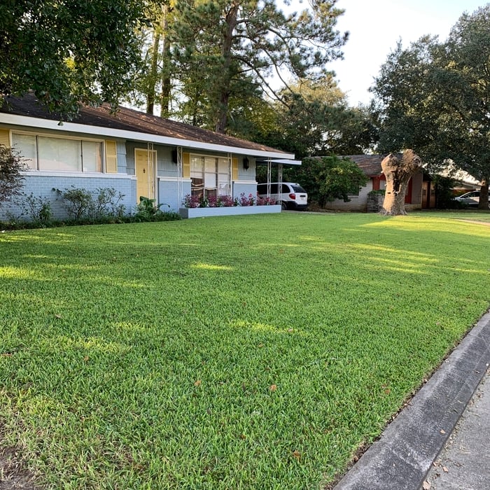 clients yard after service