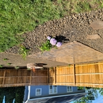 Backyard Budget Oasis