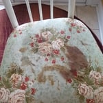 Chair Stain