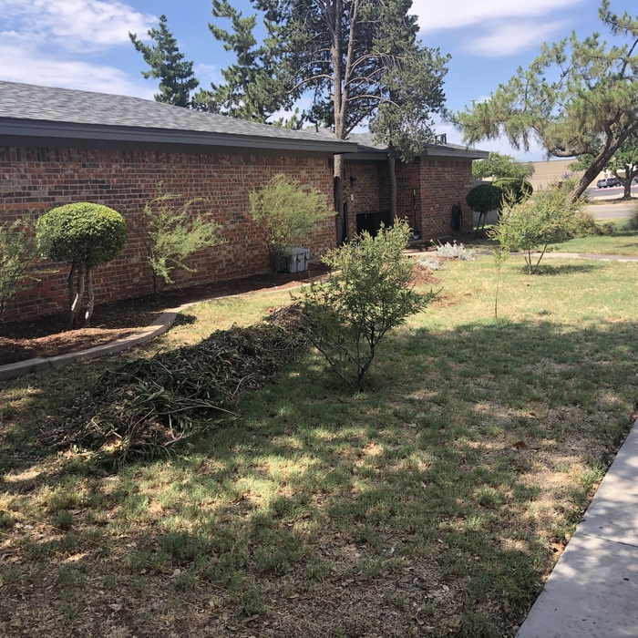 Front Yard Before