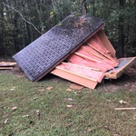 Timber