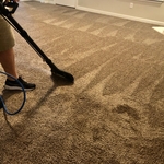Carpet Cleaning