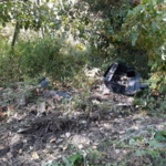 Land Clearing