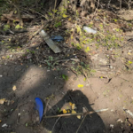 Land Clearing