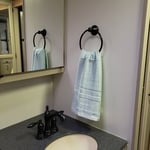 Towel holder and faucet