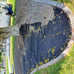 Landscaping Projects