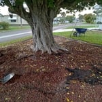 Landscaping Projects