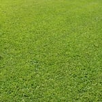 Lawn care