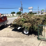 hauling debris