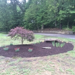 Ackerman Landscaping