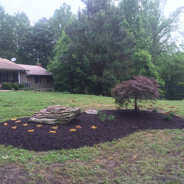 Ackerman Landscaping
