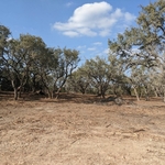 Bulverde after photo