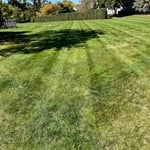 High Quality of Work