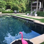 Poolside