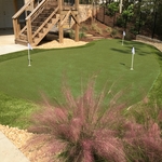 Backyard greens