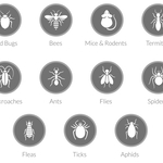 HIVE Pest Defense does it all!