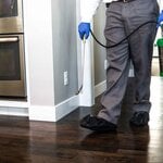 Interior Treatments