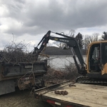 Landscape Clean-Up