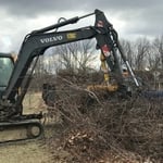 Landscape Clean-Up