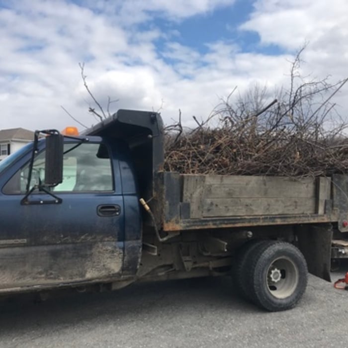 Landscape Clean-Up
