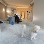 Doors / Windows / Drywall