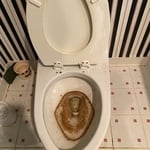 Dirty Toilet