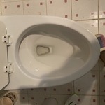 Clean Toilet