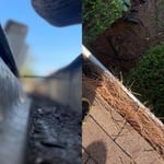 DeWrightWork