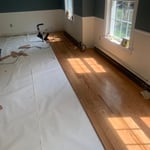 Oak hardwood