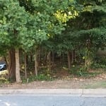 Road View of Woodline