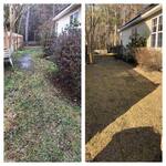 Before and After