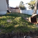 2019 Backyard