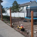 2019 Backyard