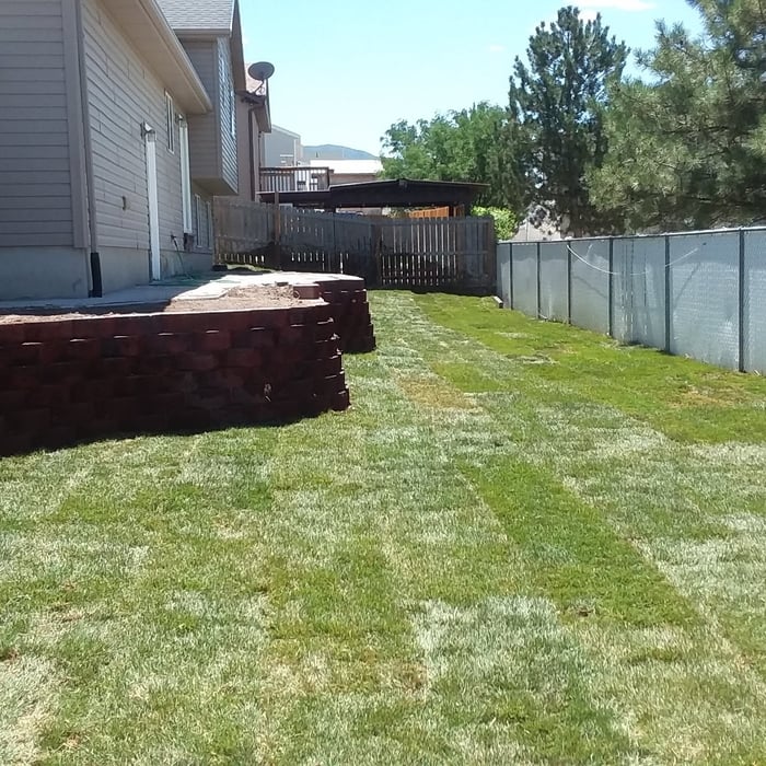 2019 Backyard