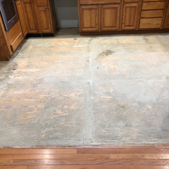 Entrance,kitchen,living r