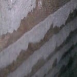Nests Behind Siding