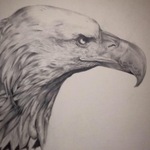 Animal portrait