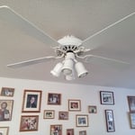 Replaced Ceiling Fan