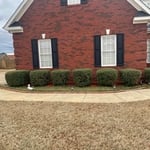 Bush & Hedge trimming