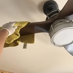 Recent Cleanings